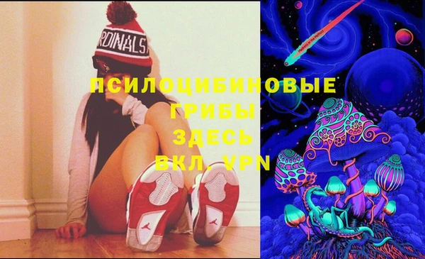 PSILOCYBIN Саяногорск