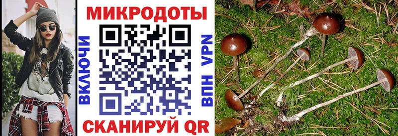 Галлюциногенные грибы мухоморы  хочу   Зеленодольск 