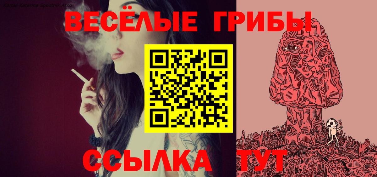 сколько стоит  Галлюциногенные грибы Psilocybe  Вход с VPN  Зеленодольск 